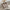 Vintage & Stijlvol: Dames tassen Handtas of Tote Schoudertas (gebroken wit)-4